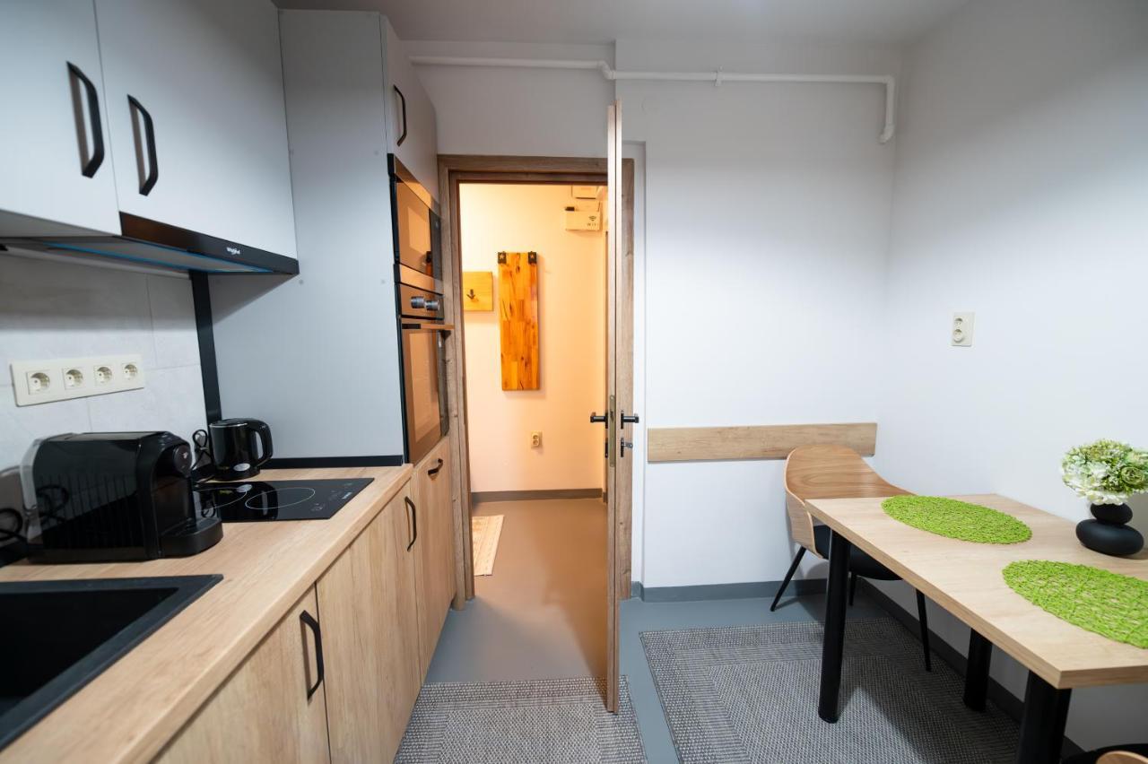 Fortuna Apartments Nagybánya Kültér fotó
